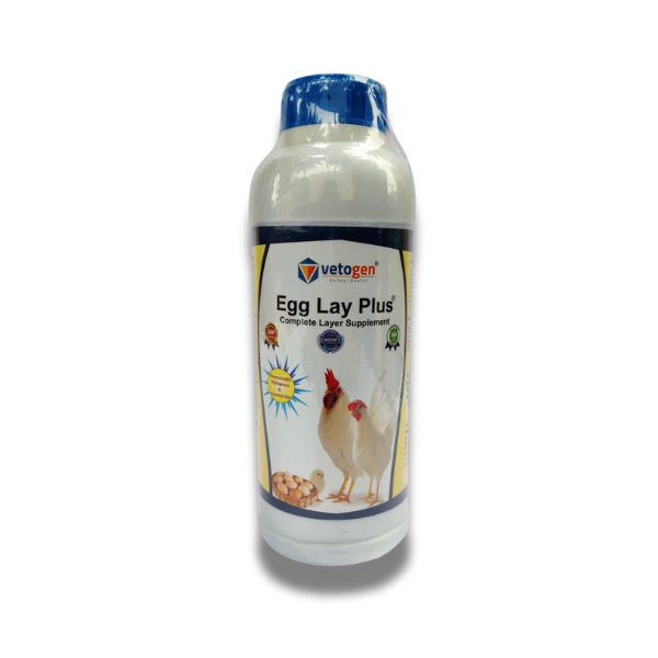 Egg Lay Plus