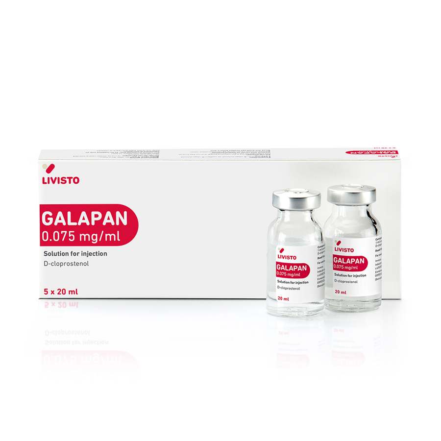 გალაპანი / Galapan